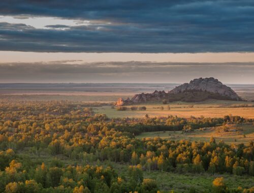 Горная колывань